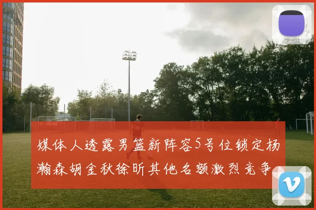 媒体人透露男篮新阵容5号位锁定杨瀚森胡金秋徐昕其他名额激烈竞争